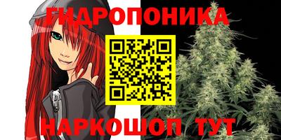 спайс Кимры